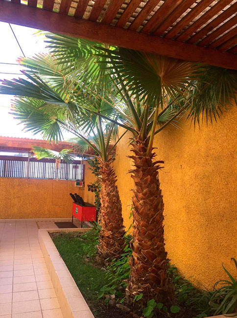 Casa Jardines del Sur – Inmobiliaria Mabe – Arriendo & Venta