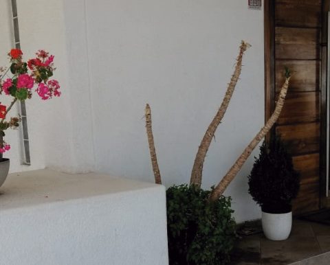 Inmobiliaria Mabe